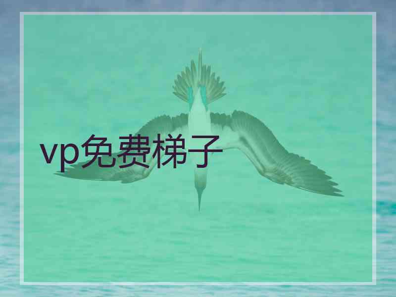 vp免费梯子