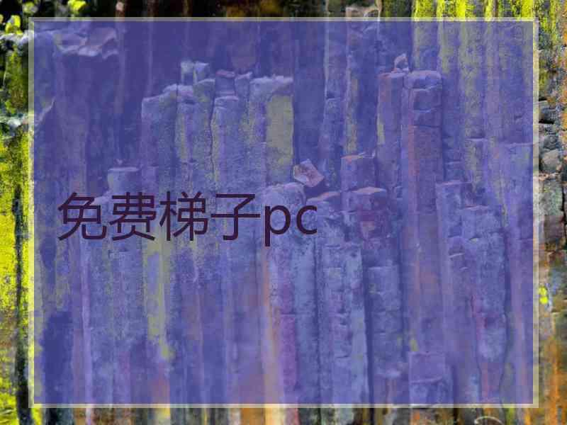 免费梯子pc