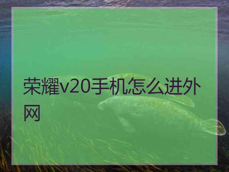 荣耀v20手机怎么进外网