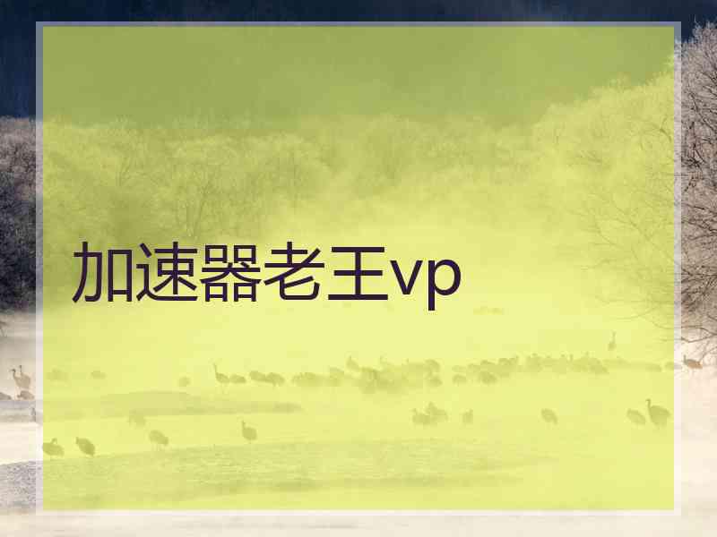 加速器老王vp