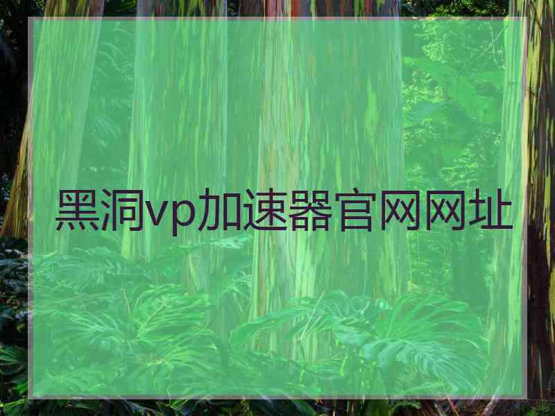 黑洞vp加速器官网网址