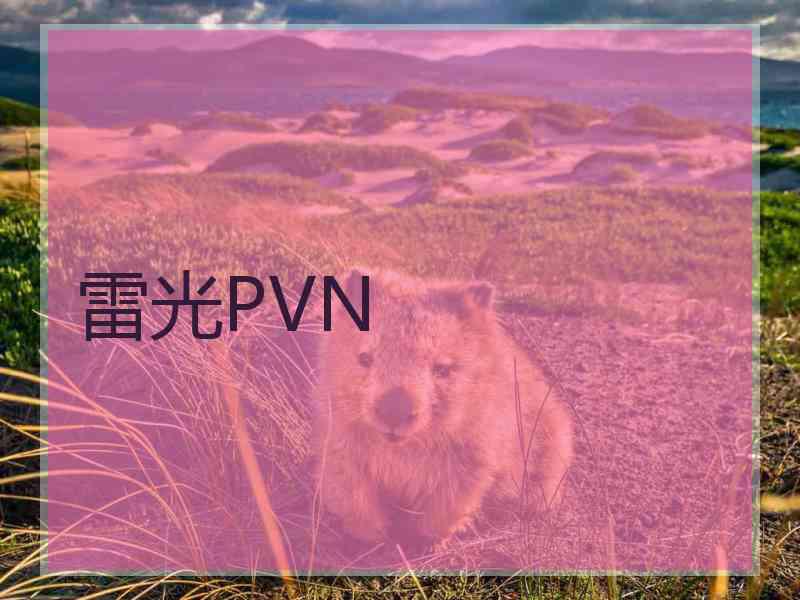 雷光PVN