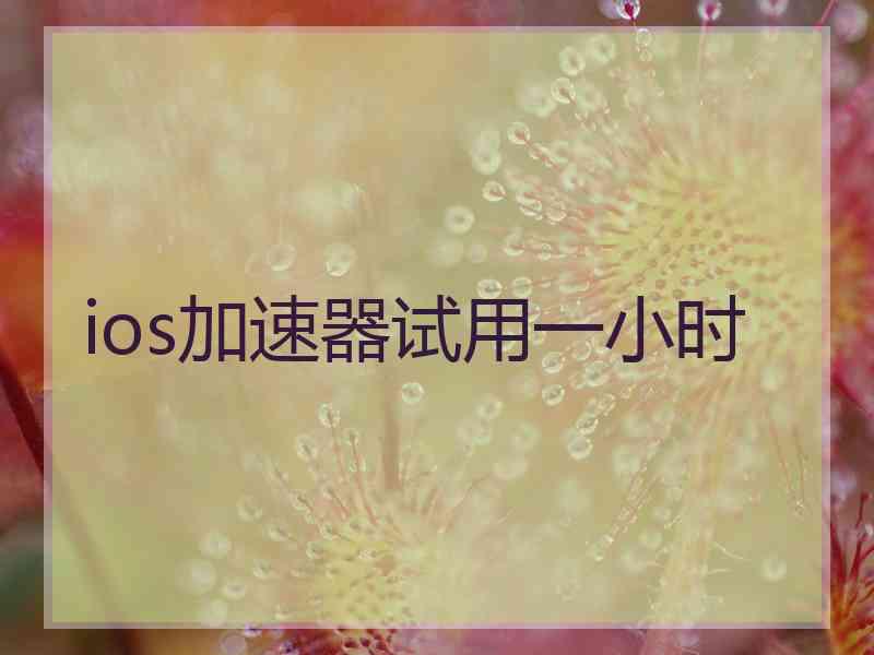 ios加速器试用一小时