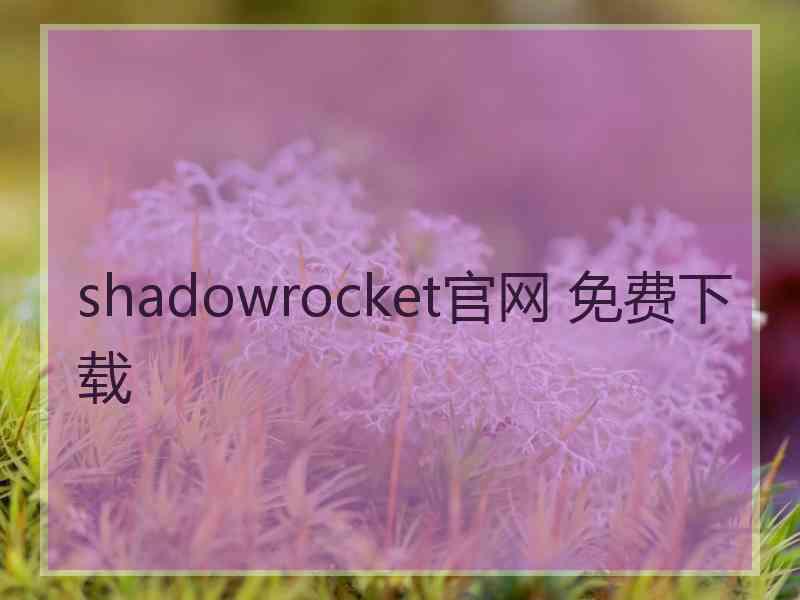 shadowrocket官网 免费下载