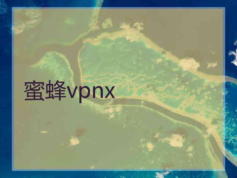 蜜蜂vpnx