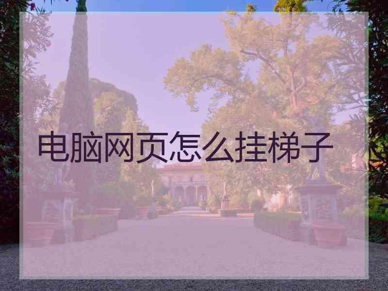 电脑网页怎么挂梯子