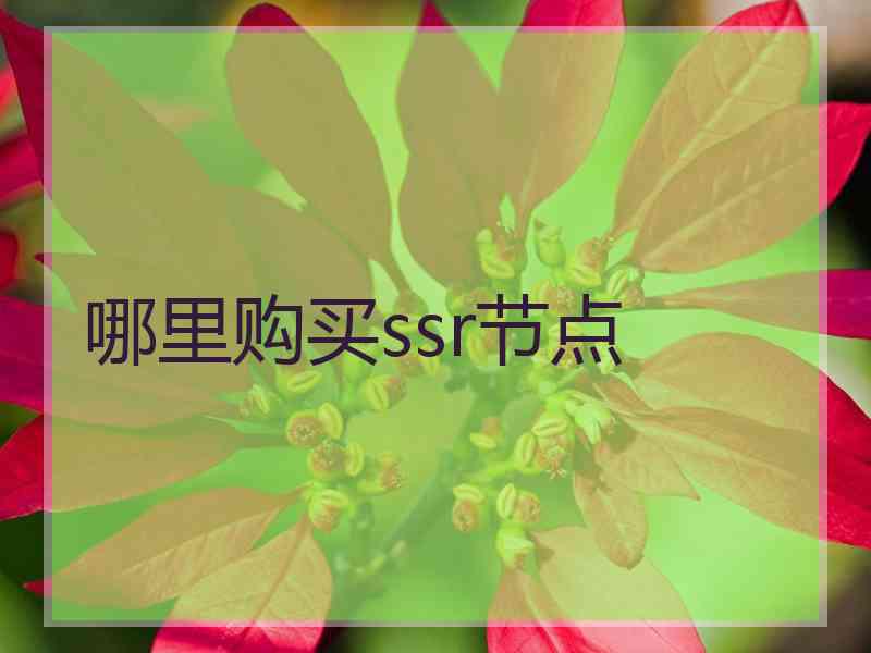 哪里购买ssr节点