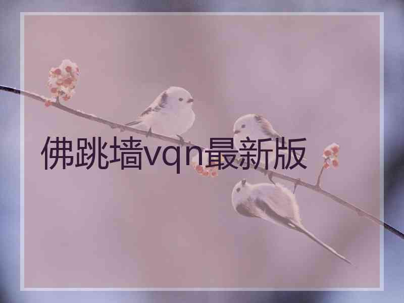 佛跳墙vqn最新版