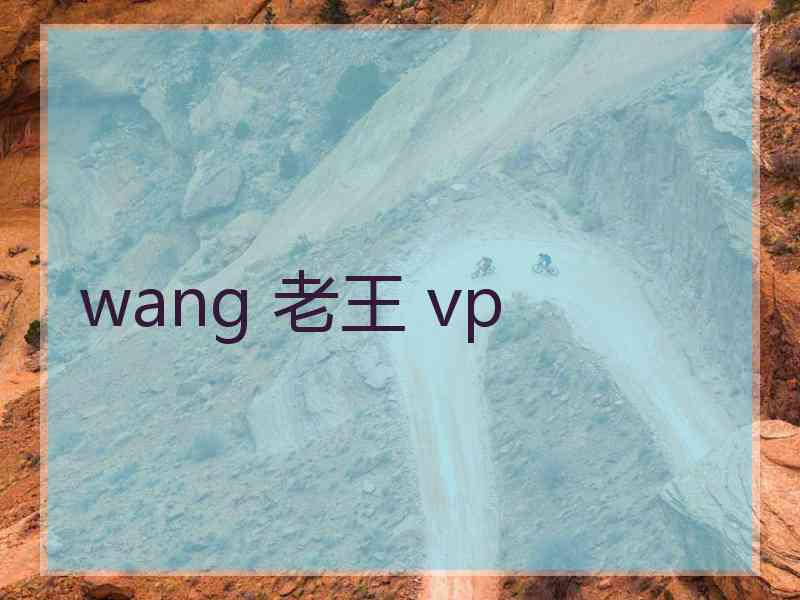 wang 老王 vp