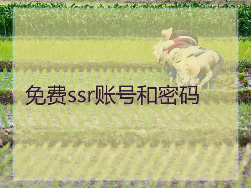 免费ssr账号和密码