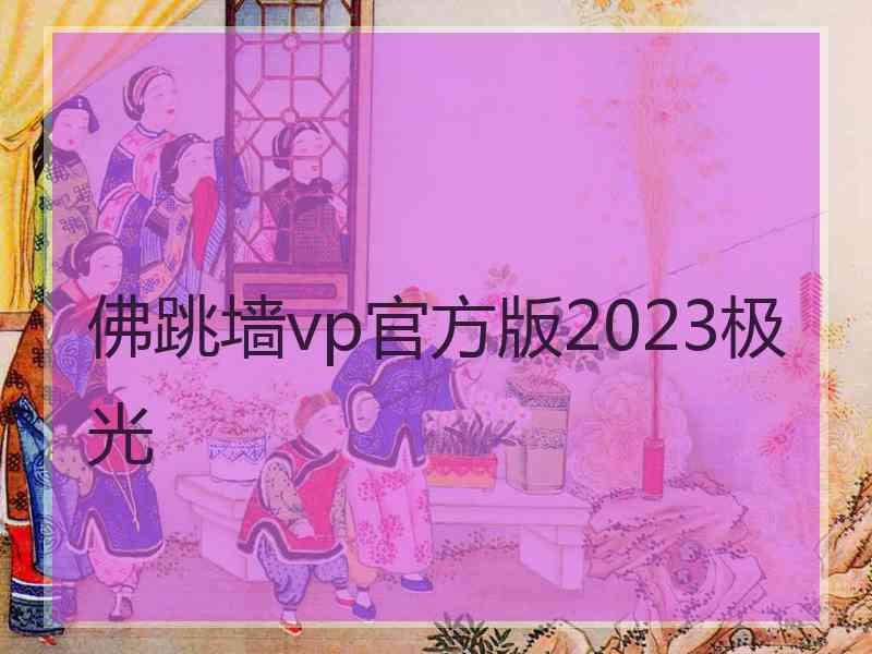 佛跳墙vp官方版2023极光