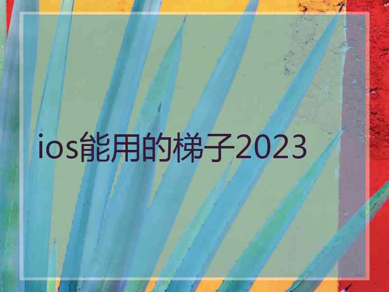 ios能用的梯子2023