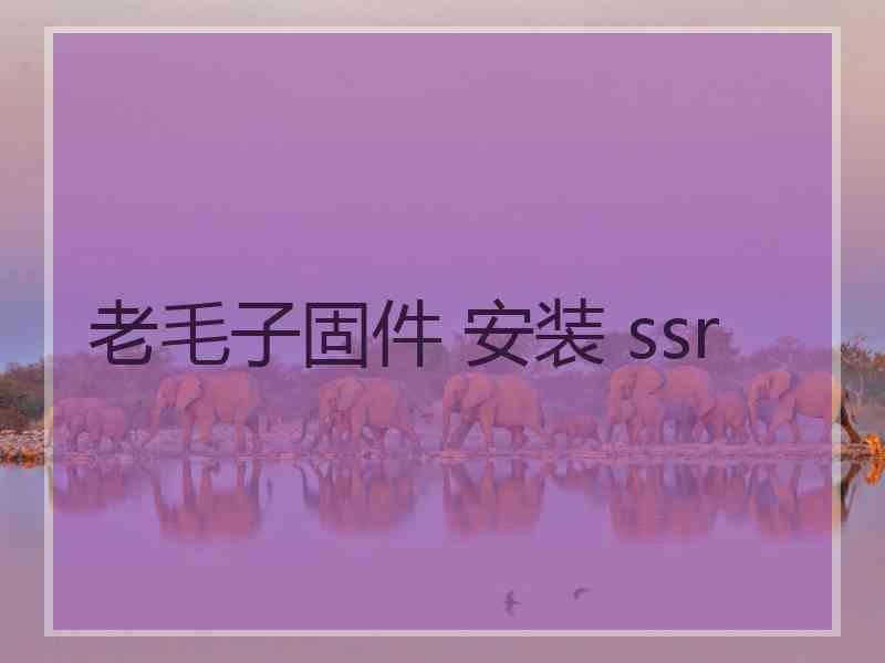 老毛子固件 安装 ssr