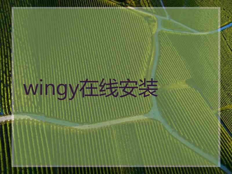 wingy在线安装