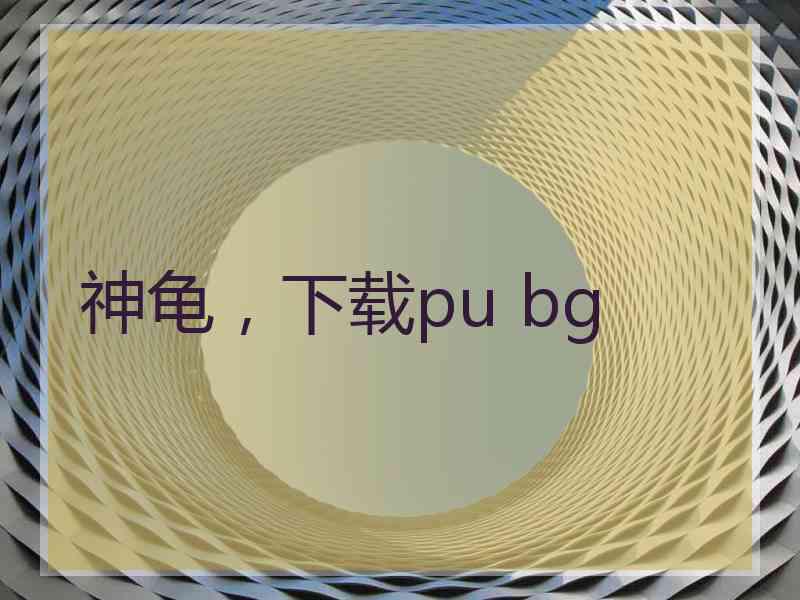 神龟，下载pu bg