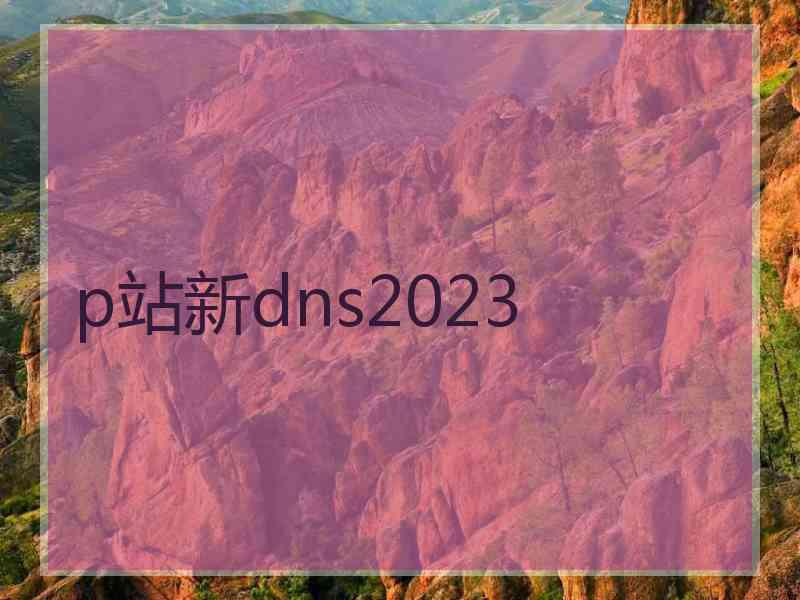 p站新dns2023