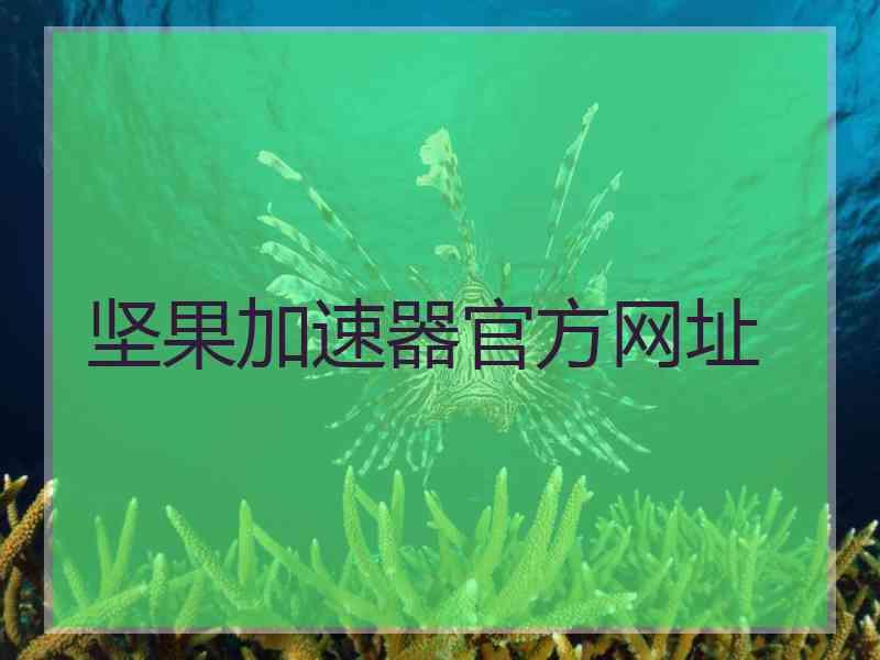 坚果加速器官方网址