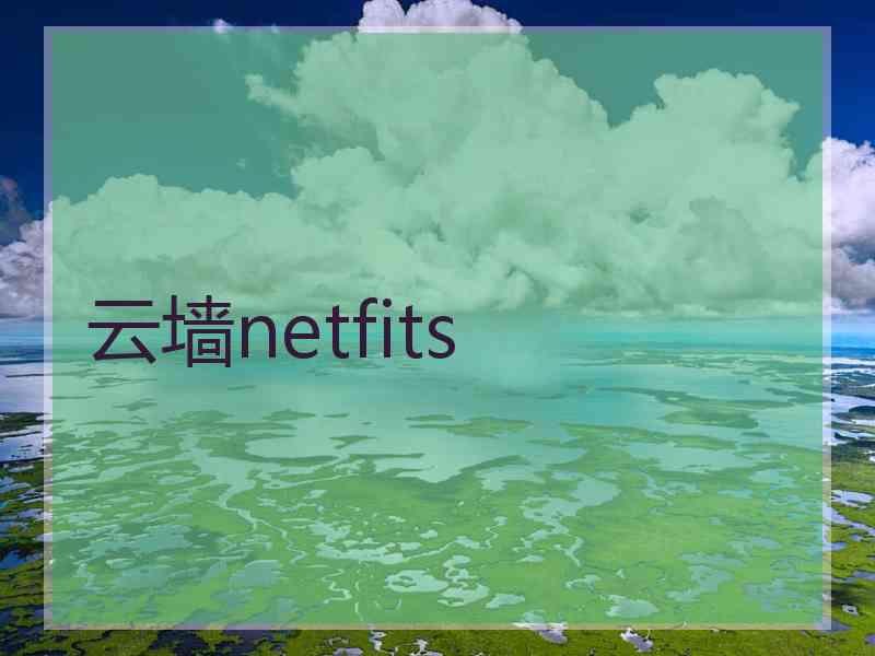 云墙netfits