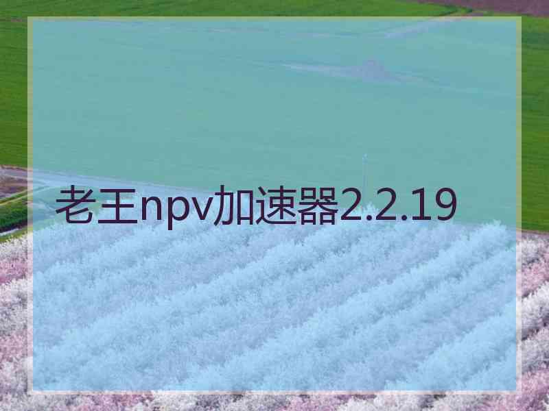 老王npv加速器2.2.19