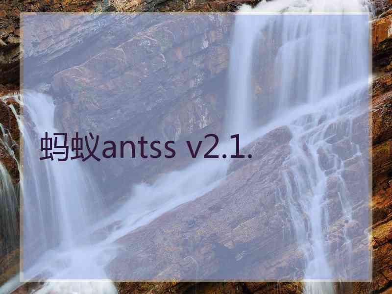 蚂蚁antss v2.1.