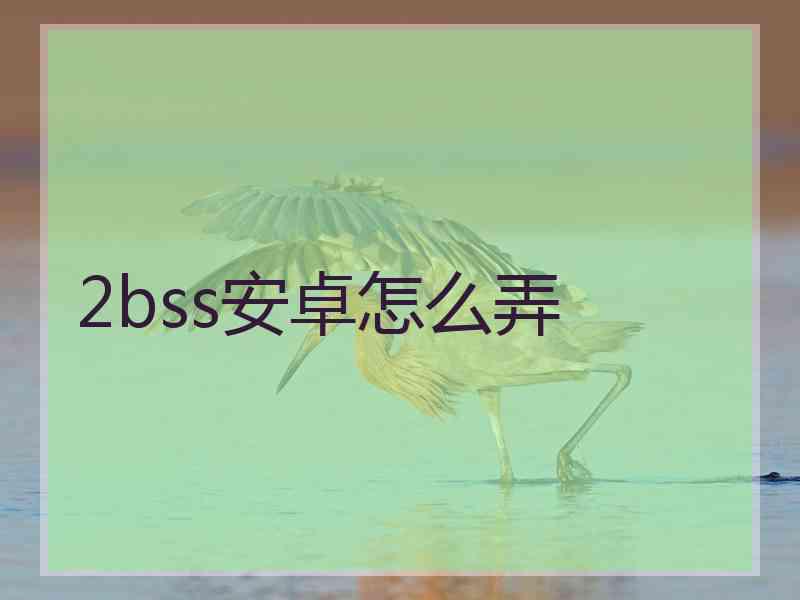 2bss安卓怎么弄