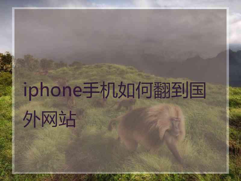 iphone手机如何翻到国外网站