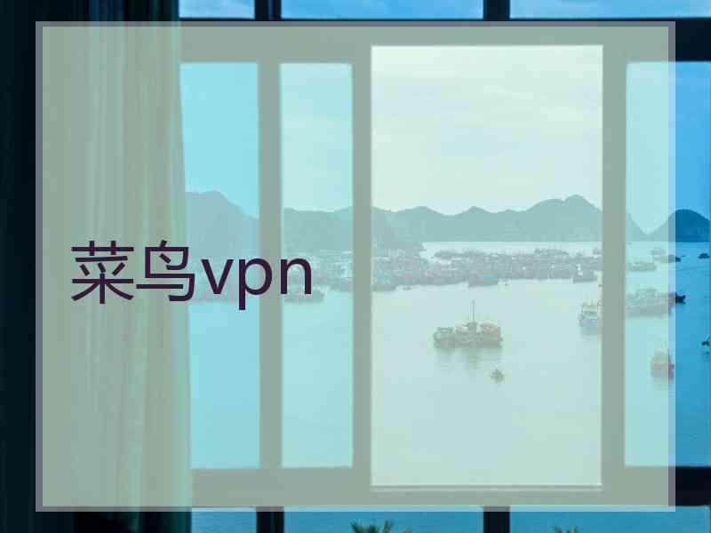 菜鸟vpn