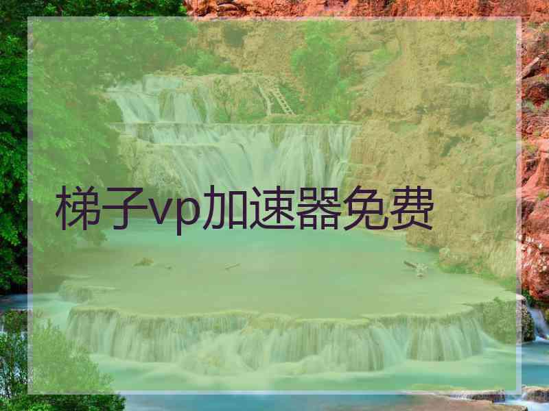 梯子vp加速器免费