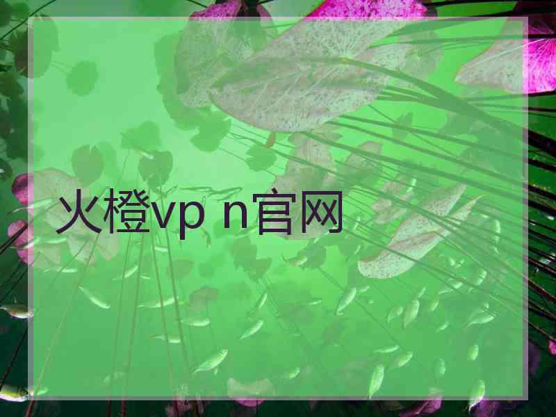 火橙vp n官网