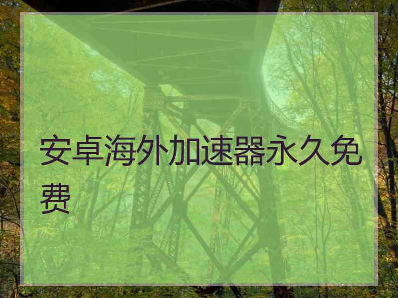 安卓海外加速器永久免费