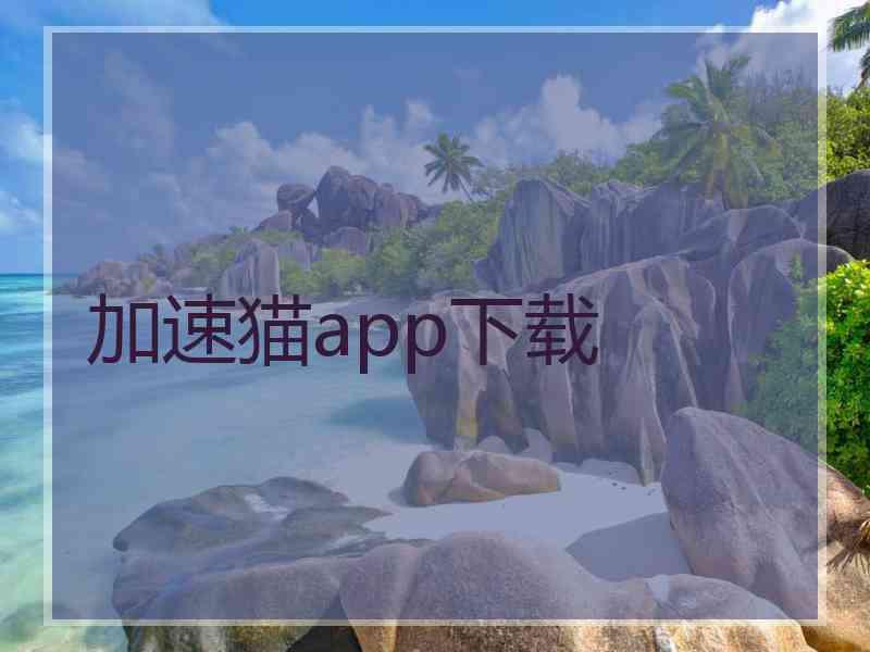 加速猫app下载