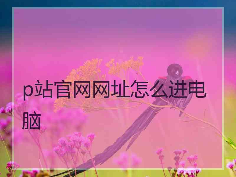 p站官网网址怎么进电脑