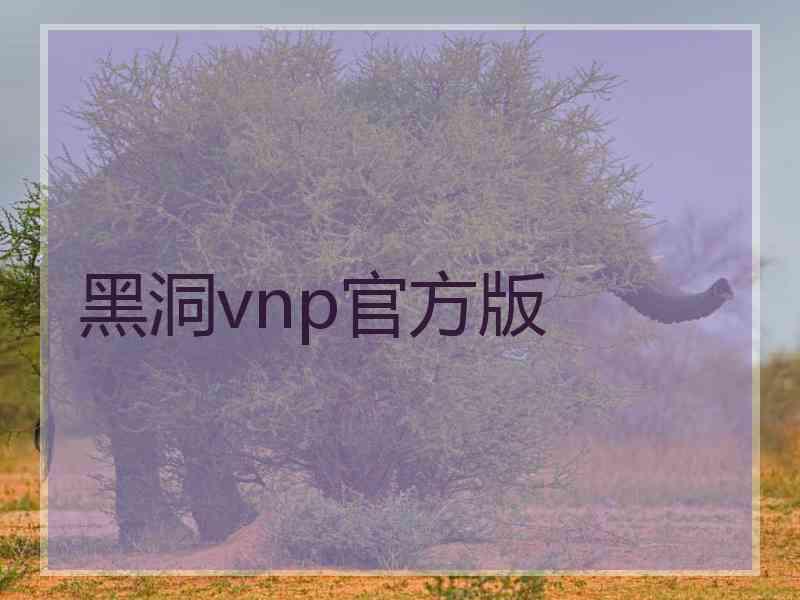 黑洞vnp官方版