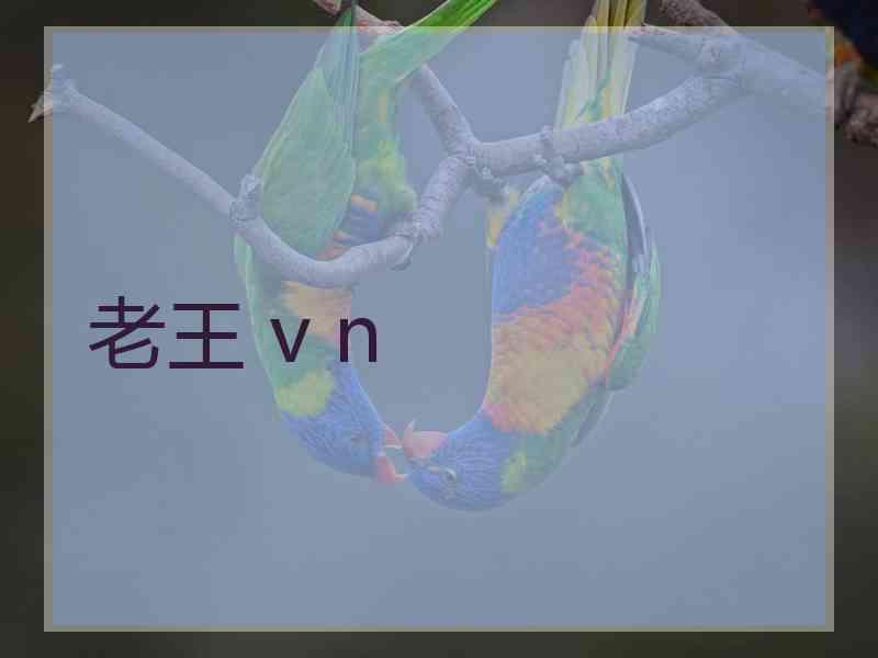 老王 v n