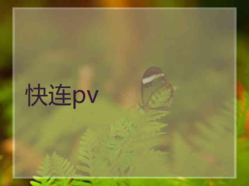 快连pv