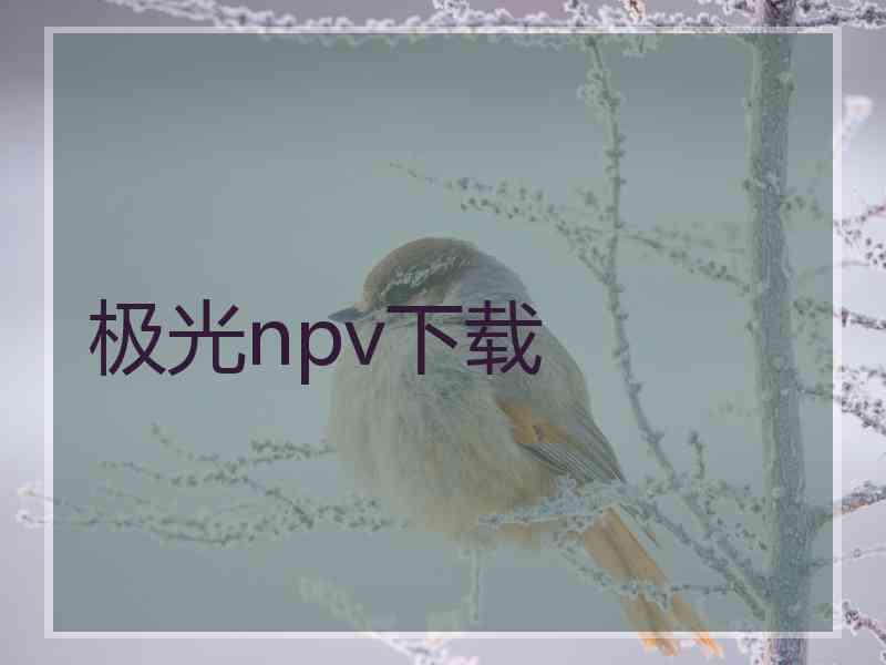 极光npv下载