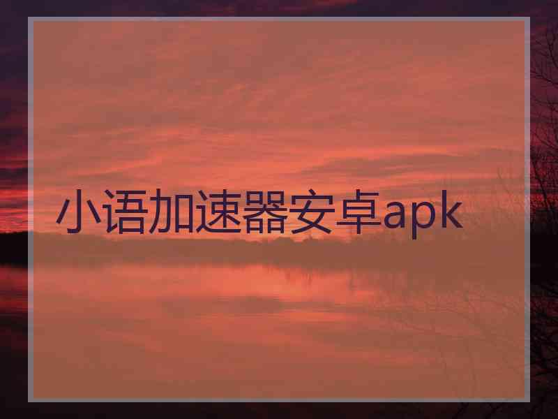 小语加速器安卓apk