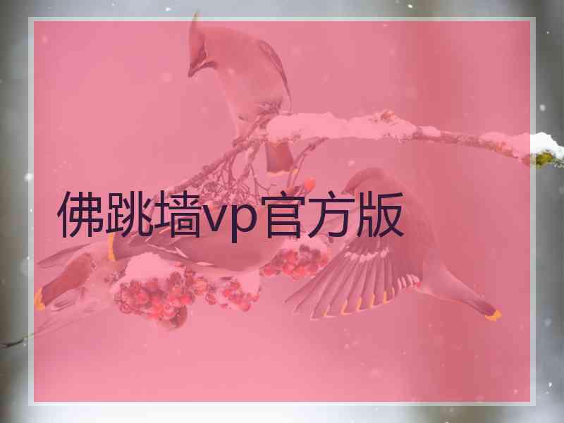 佛跳墙vp官方版