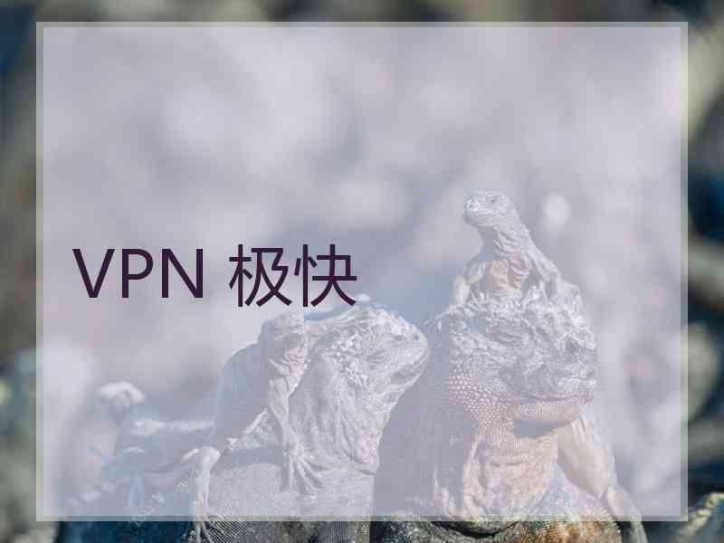 VPN 极快