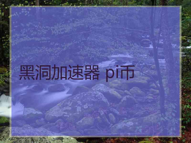 黑洞加速器 pi币