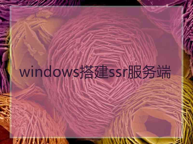 windows搭建ssr服务端