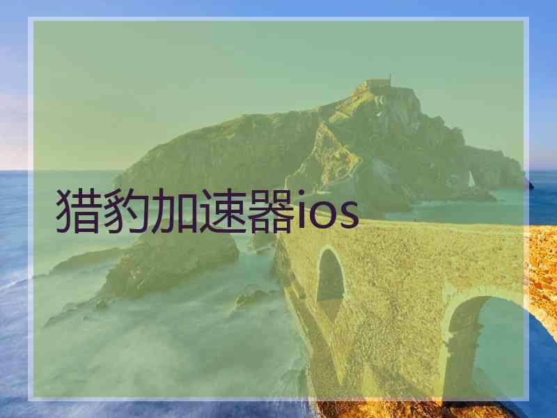 猎豹加速器ios