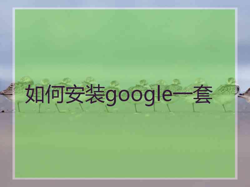 如何安装google一套