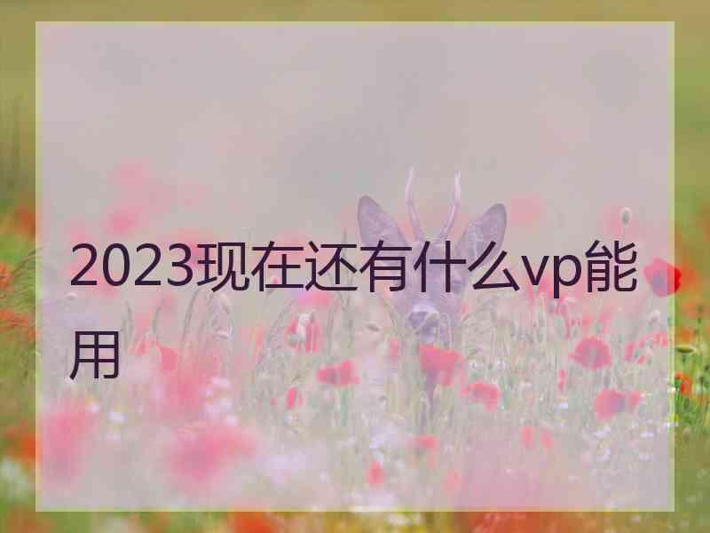 2023现在还有什么vp能用