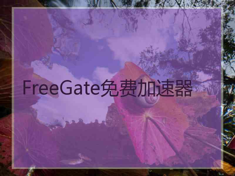 FreeGate免费加速器