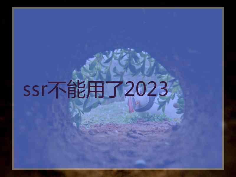 ssr不能用了2023