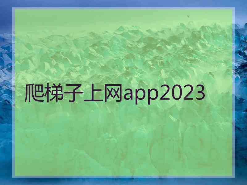 爬梯子上网app2023