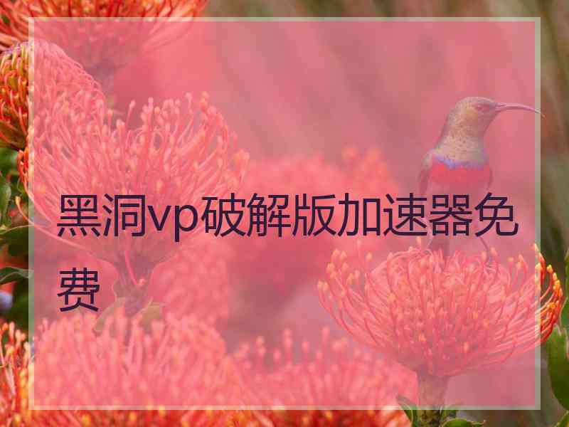 黑洞vp破解版加速器免费