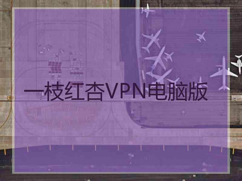 一枝红杏VPN电脑版