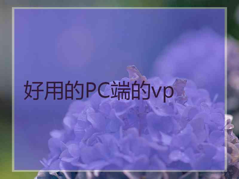 好用的PC端的vp